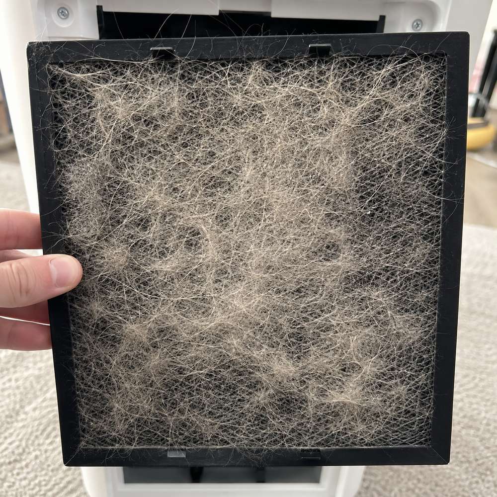 Close-up of the pre-filter covered with collected pet hair
